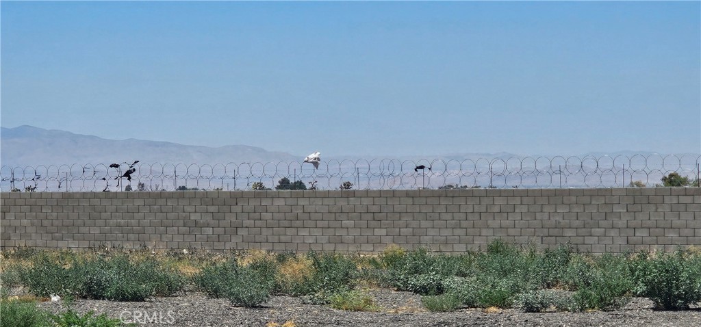 https://media.crmls.org/medias/6b43bc8e-ee20-46b6-a9de-daca0d11b047.jpg?preset=X-Large