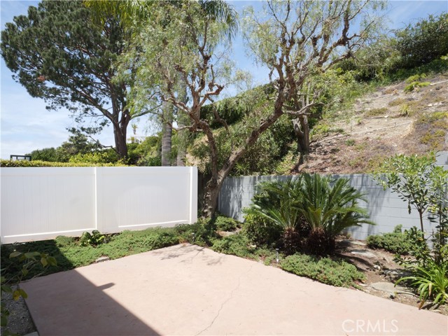 Backyard lower Backyard lower