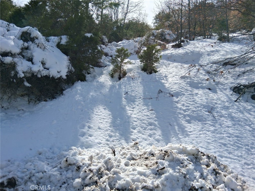 MLS #IV25051475 image #4