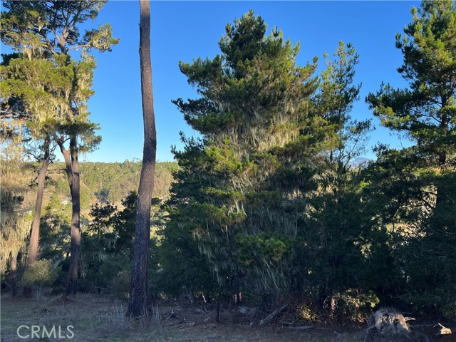 Detail Gallery Image 10 of 13 For 3235 Rogers, Cambria,  CA 93428 - – Beds | – Baths