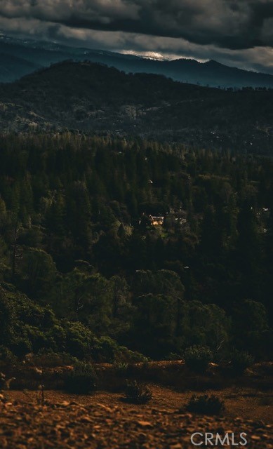 Detail Gallery Image 68 of 72 For 5333 Wilderness View Dr, Mariposa,  CA 95338 - 2 Beds | 2 Baths