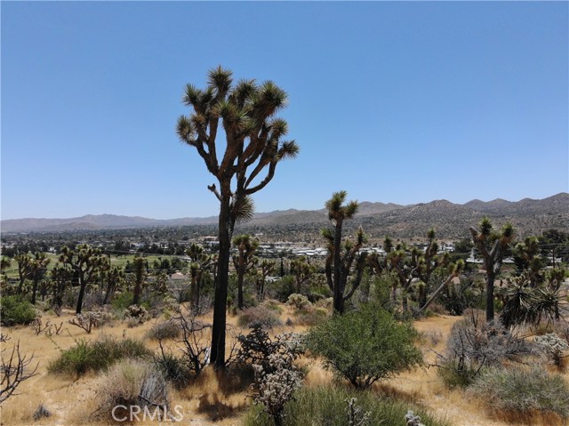 0 Yucca Trail, Yucca Valley, California 92284, ,Land,For Sale,0 Yucca Trail,CRJT23101215