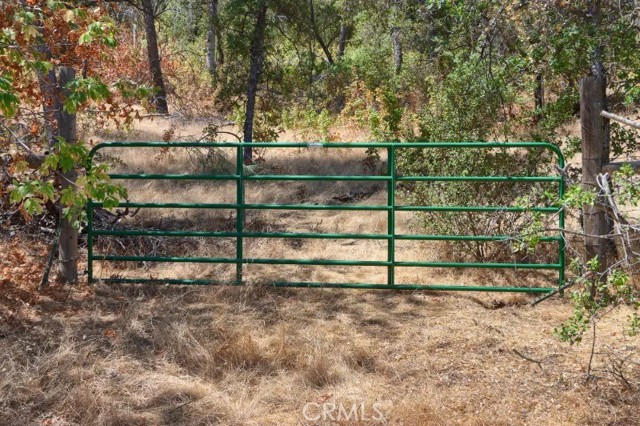 Detail Gallery Image 19 of 20 For 0 Mountain View Peak Road, O Neals,  CA 93653 - – Beds | – Baths