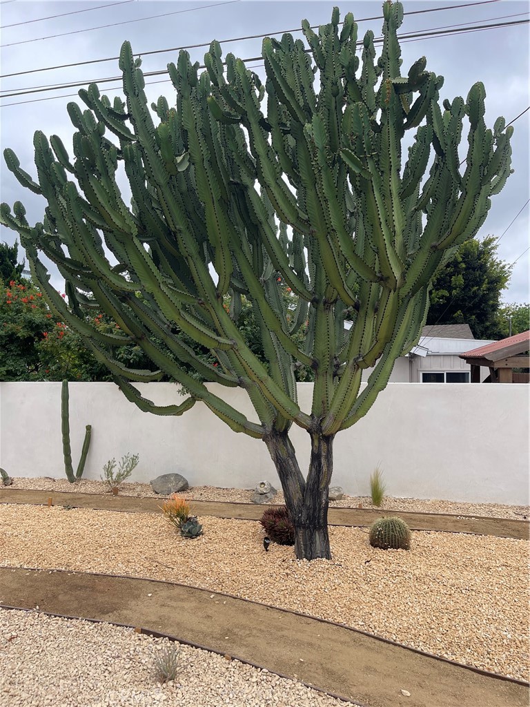 https://media.crmls.org/medias/6b4ff384-0c3d-4368-808e-2ad515c59757.jpg?preset=X-Large