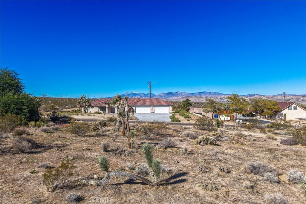 MLS #JT25246862 image #8