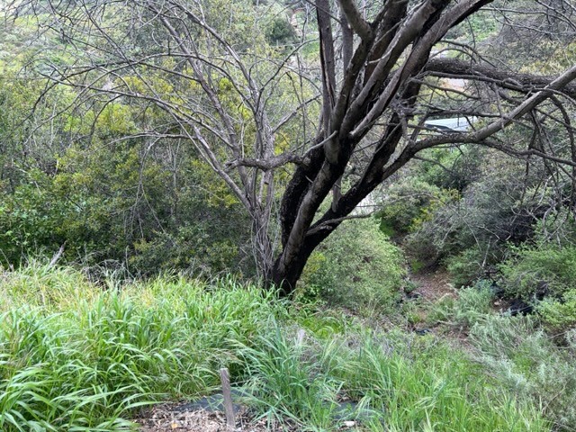 28000 Hidea Way, Silverado Canyon, CA 92676