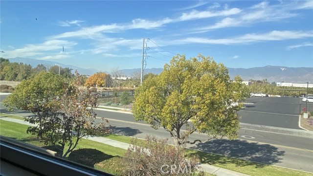 Detail Gallery Image 8 of 11 For 1686 Golden Rod Ave, Redlands,  CA 92373 - 4 Beds | 2/1 Baths