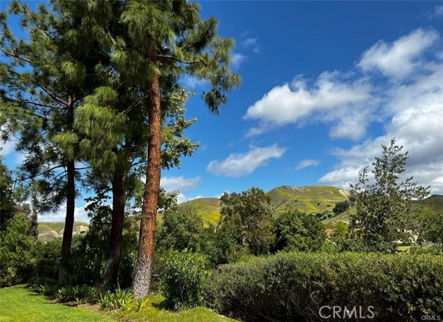 Detail Gallery Image 11 of 15 For 4240 Lost Hills Rd #1005,  Calabasas,  CA 91301 - 2 Beds | 2 Baths