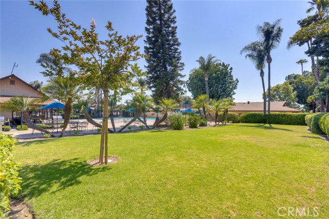 Detail Gallery Image 31 of 33 For 1736 E Commonwealth Ave, Fullerton,  CA 92831 - 2 Beds | 2 Baths