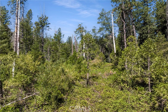 Detail Gallery Image 9 of 23 For 0 Tranquility/Skyway, Magalia,  CA 95954 - – Beds | – Baths