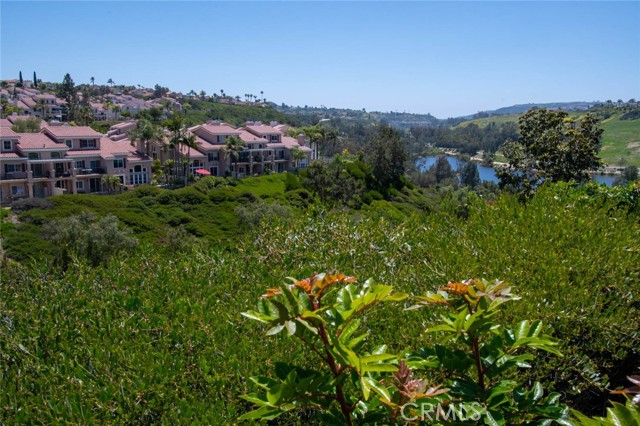 Detail Gallery Image 56 of 72 For 24492 via Carissa, Laguna Niguel,  CA 92677 - 4 Beds | 2 Baths