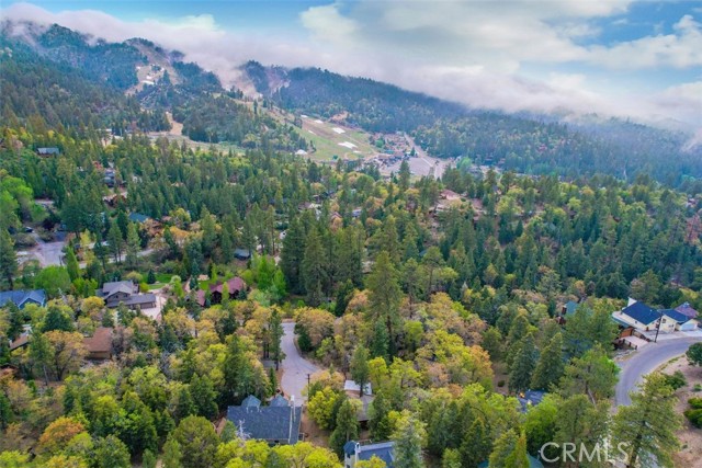 Detail Gallery Image 41 of 47 For 1218 Bow Canyon Ct, Big Bear Lake,  CA 92315 - 2 Beds | 1 Baths