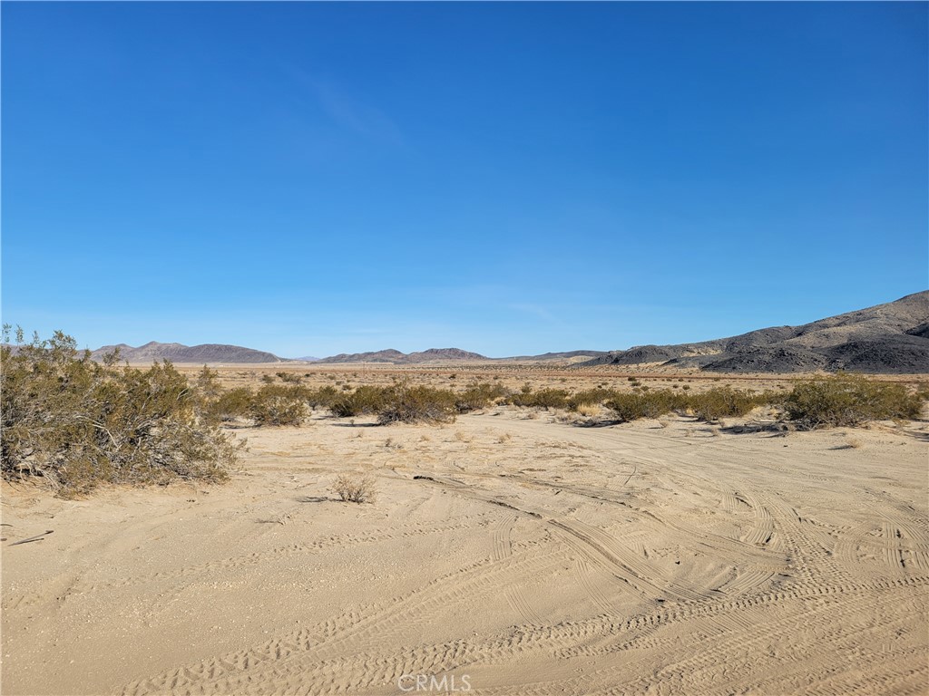 MLS #HD25267066 image #3