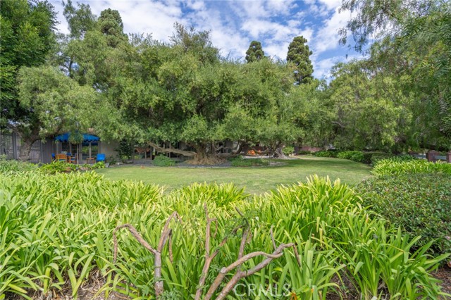 7 Cinnamon Lane, Rancho Palos Verdes, California 90275, 3 Bedrooms Bedrooms, ,2 BathroomsBathrooms,Residential,For Sale,Cinnamon Lane,SB25241901 7 Cinnamon Lane, Rancho Palos Verdes, California 90275, 3 Bedrooms Bedrooms, ,2 BathroomsBathrooms,Residential,For Sale,Cinnamon Lane,SB25241901