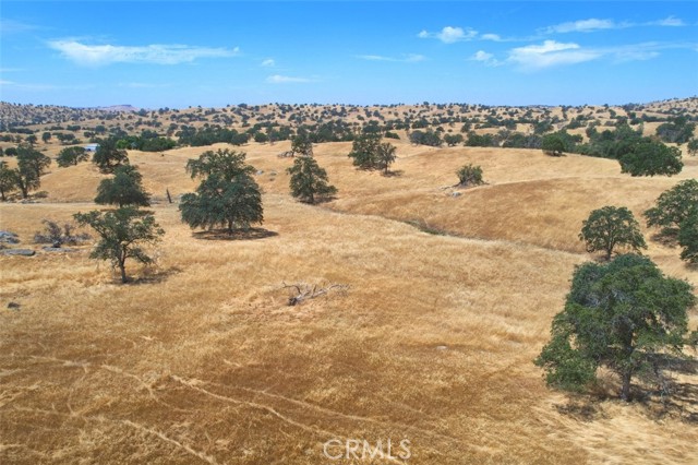 Detail Gallery Image 2 of 10 For 0 36.94 Ac Rolling Oaks, Friant,  CA 93626 - – Beds | – Baths