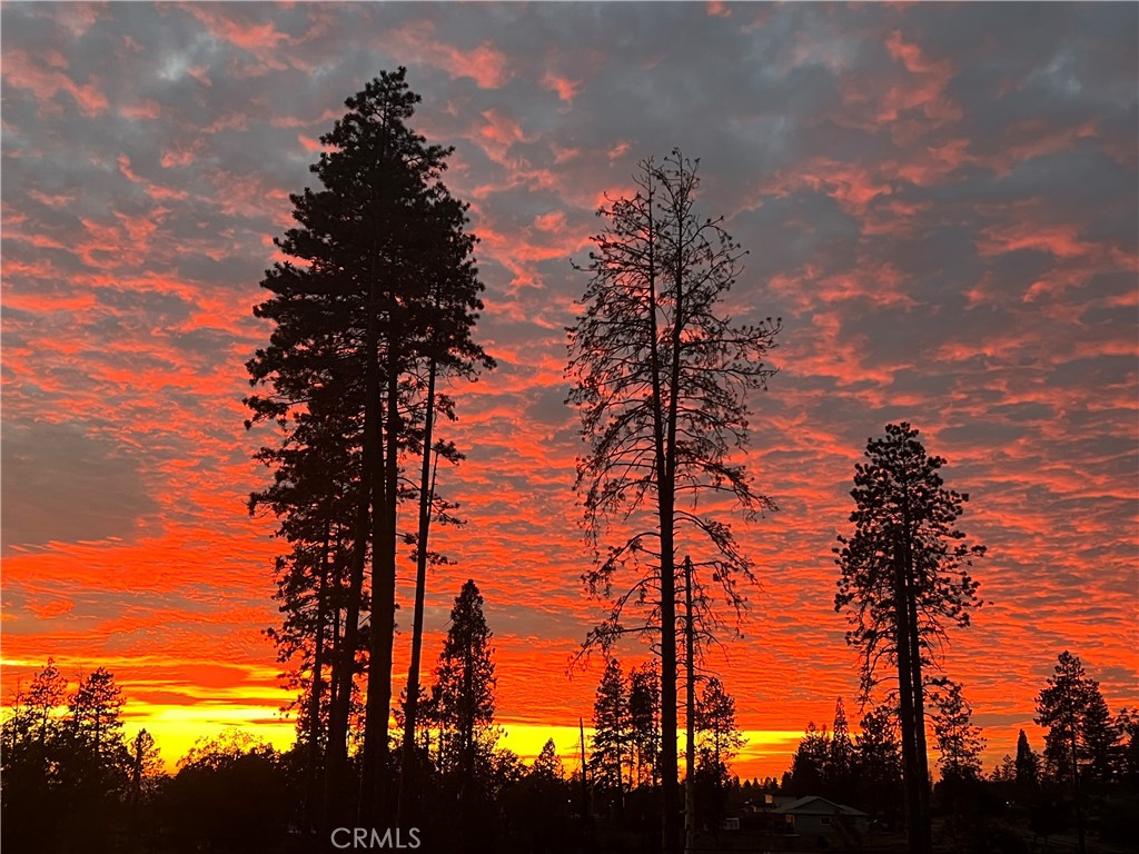 https://media.crmls.org/medias/6b6dc653-163d-4289-8bcd-e9bf856780ff.jpg?preset=X-Large