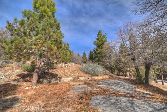 Detail Gallery Image 5 of 24 For 1115 Fawnskin Dr, Fawnskin,  CA 92333 - – Beds | – Baths