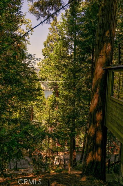 Peak-a-boo Lakeview