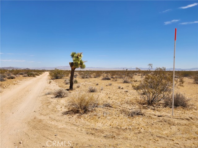 Detail Gallery Image 1 of 9 For 40 Ac Joshua Tree, Joshua Tree,  CA 92252 - – Beds | – Baths