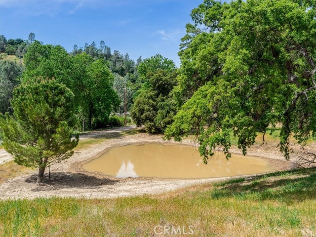 Detail Gallery Image 39 of 62 For 1535 Parkhill Rd, Santa Margarita,  CA 93453 - 3 Beds | 2 Baths
