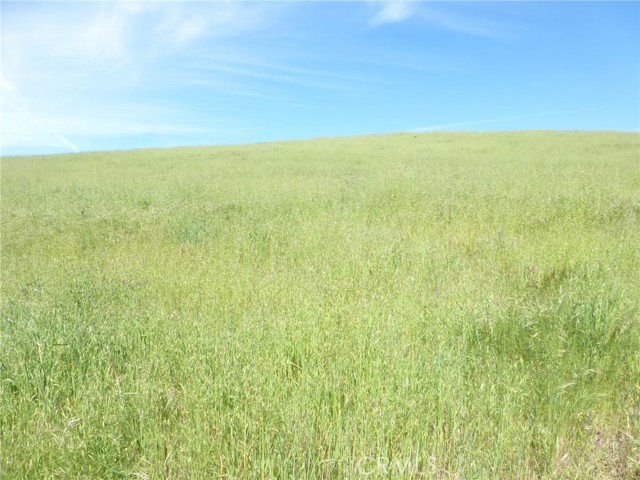 Detail Gallery Image 15 of 42 For 0 Douglas Rd. (Lot 42), San Miguel,  CA 93451 - – Beds | – Baths