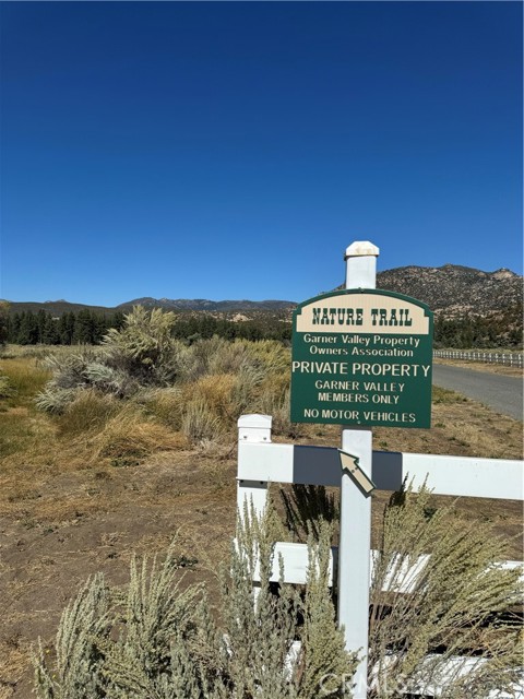 Detail Gallery Image 17 of 54 For 59990 Hop Patch Spring Rd, Mountain Center,  CA 92561 - – Beds | – Baths