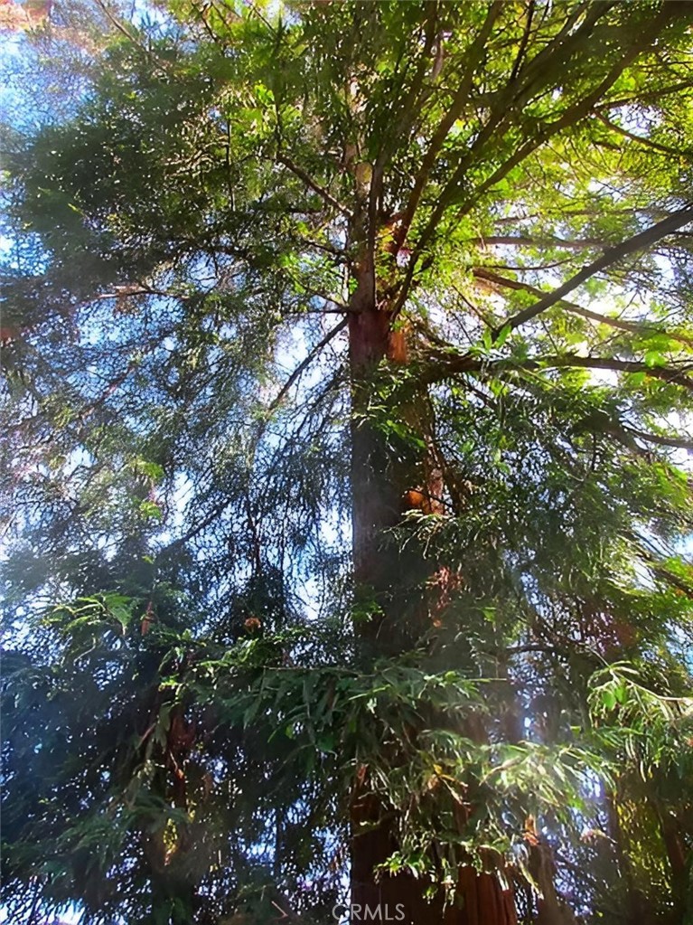 https://media.crmls.org/medias/6b78ab42-727d-48fe-a632-6c53820fe76e.jpg?preset=X-Large