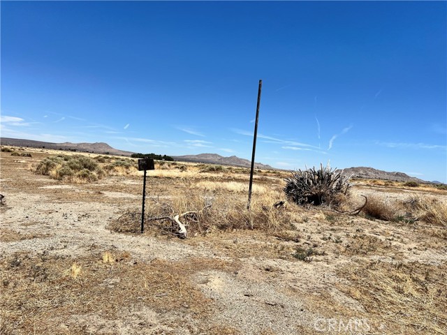 125 STE VIC AVE, Lancaster CA: https://media.crmls.org/medias/6b7bc92f-c061-4ad8-92f7-0df8019e2b54.jpg