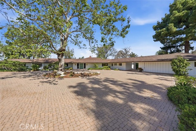 Image 2 of 66 For 100 Saddleback