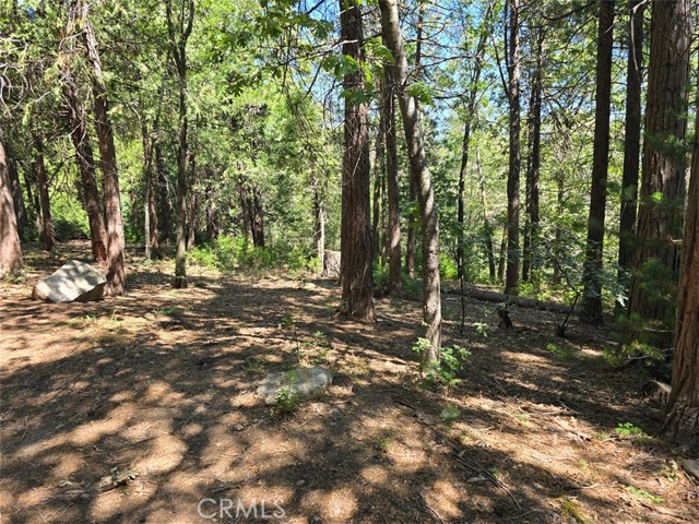 0 Lovers Lane, Cedarpines Park CA: https://media.crmls.org/medias/6b7ed3d9-142e-4e47-b154-8569f827f033.jpg