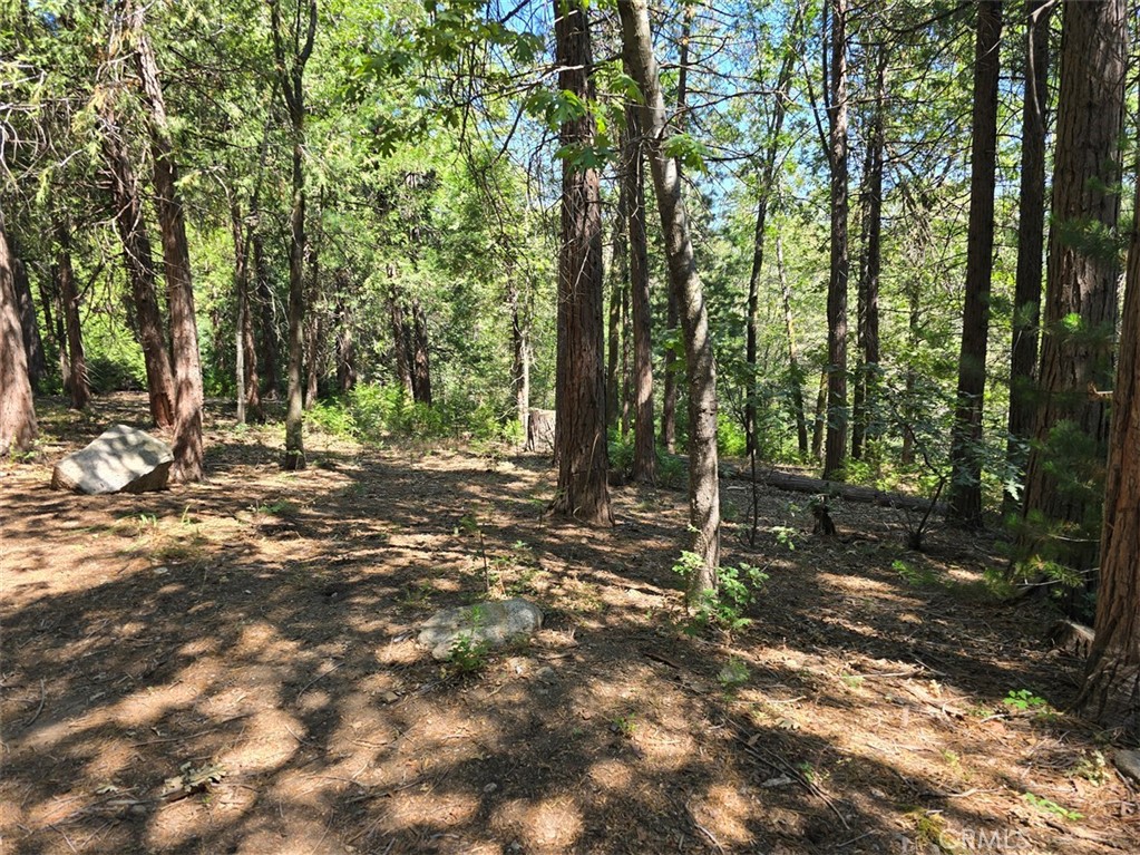 MLS #IG25181916 image #3