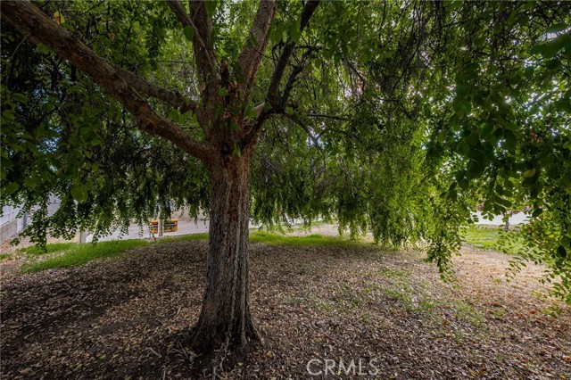 Detail Gallery Image 34 of 53 For 23320 Canyon Lake Dr, Canyon Lake,  CA 92587 - 3 Beds | 2 Baths