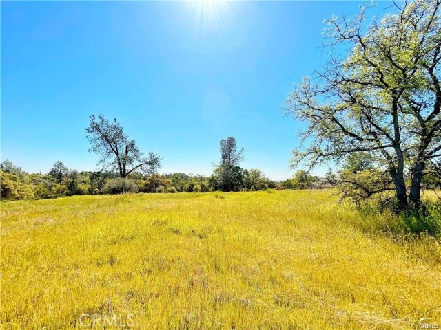 Image 3 for 0 Olive Hwy, Oroville, CA 95966