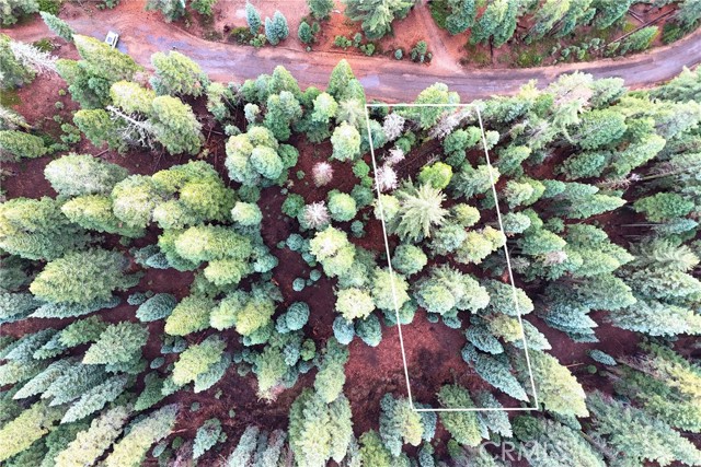 Detail Gallery Image 3 of 17 For 1100 Cleghorn Dr, Quincy,  CA 95971 - – Beds | – Baths