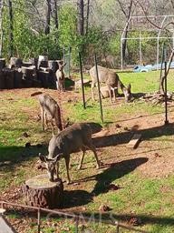 Detail Gallery Image 51 of 64 For 5129 Toyon, Paradise,  CA 95969 - 3 Beds | 3/1 Baths