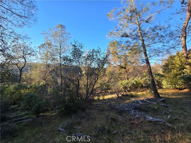 Detail Gallery Image 30 of 34 For 0 Double Eagle Way, Brownsville,  CA 95919 - – Beds | – Baths