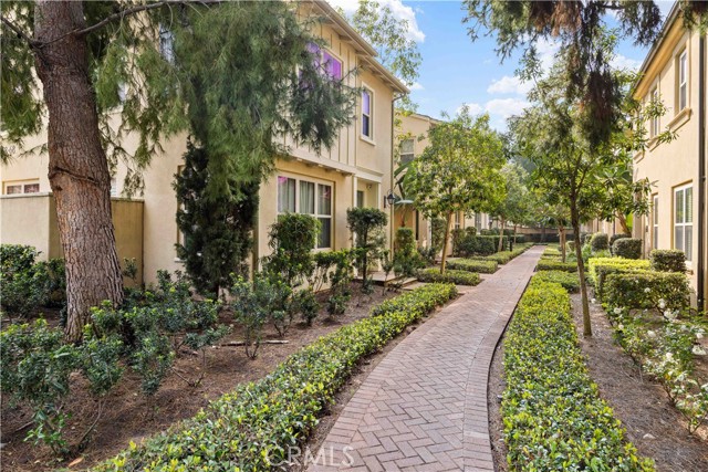 Front Image Thumbnail for CROC26012405