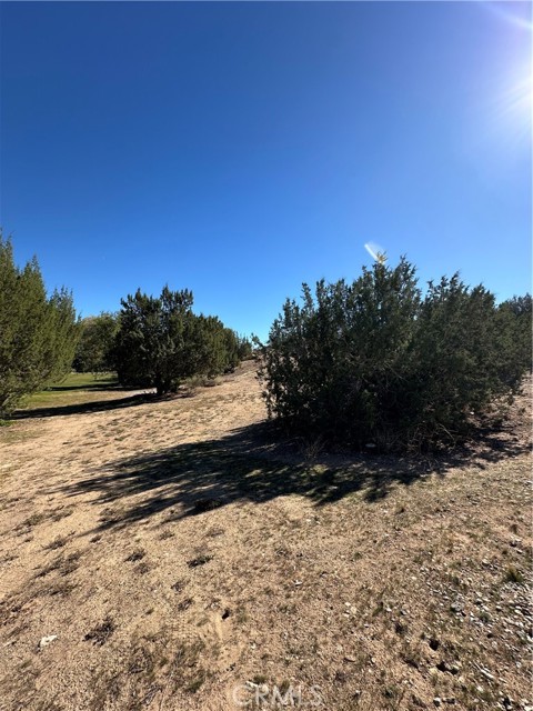 MLS #HD25257220 image #8