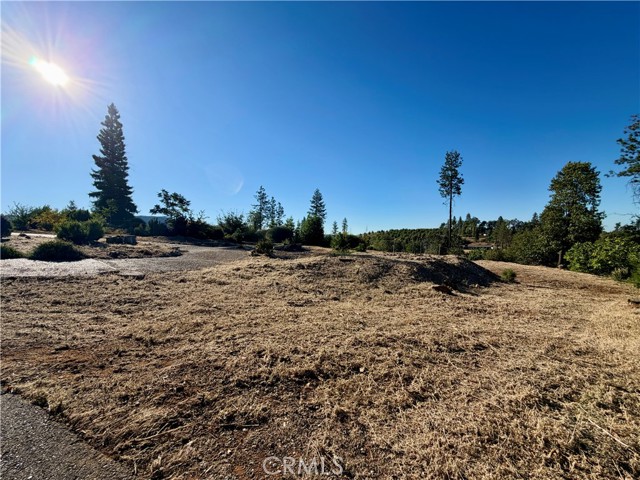 Front Image Thumbnail for CRSN26168818