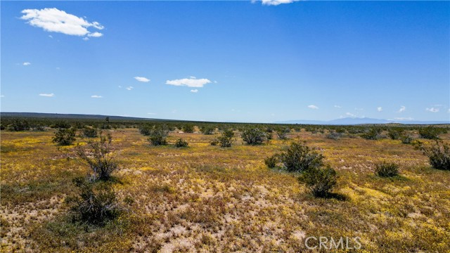 Detail Gallery Image 12 of 15 For 0 226 Vac/226 Ste Drt /Vic Avenue B1, –,  CA 93535 - – Beds | – Baths