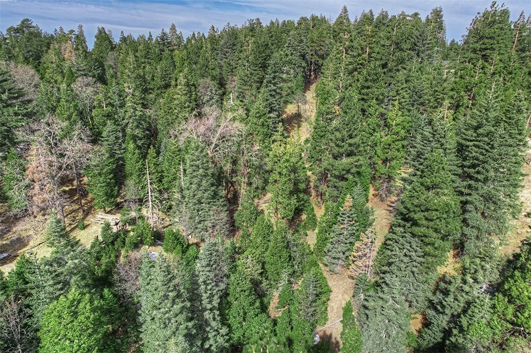 0 Cedar Brook Drive, Twin Peaks, California 92391, ,Land,For Sale,0 Cedar Brook Drive,CRRW23028567