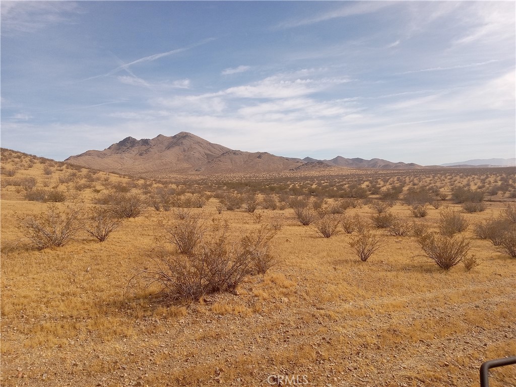 MLS #DW25020276 image #1