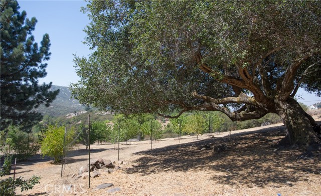 Detail Gallery Image 55 of 75 For 12145 Twin Springs Rd, Descanso,  CA 91916 - 4 Beds | 2 Baths