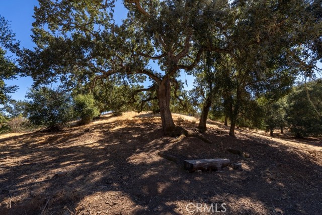 Detail Gallery Image 45 of 65 For 11300 Santa Lucia Rd, Atascadero,  CA 93422 - 4 Beds | 3/1 Baths