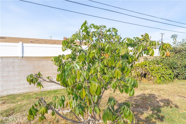 Detail Gallery Image 29 of 32 For 514 S Euclid St, Santa Ana,  CA 92704 - 4 Beds | 3 Baths