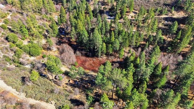 Detail Gallery Image 5 of 11 For 0 Little Bear Ck, Cedar Glen,  CA 92321 - – Beds | – Baths