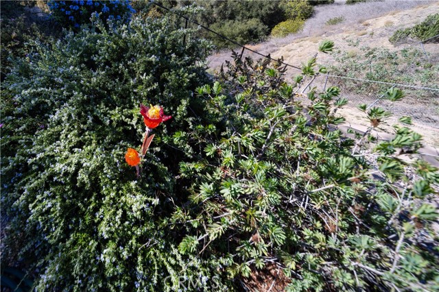 Detail Gallery Image 43 of 60 For 925 Golden Prados, Diamond Bar,  CA 91765 - 3 Beds | 2 Baths