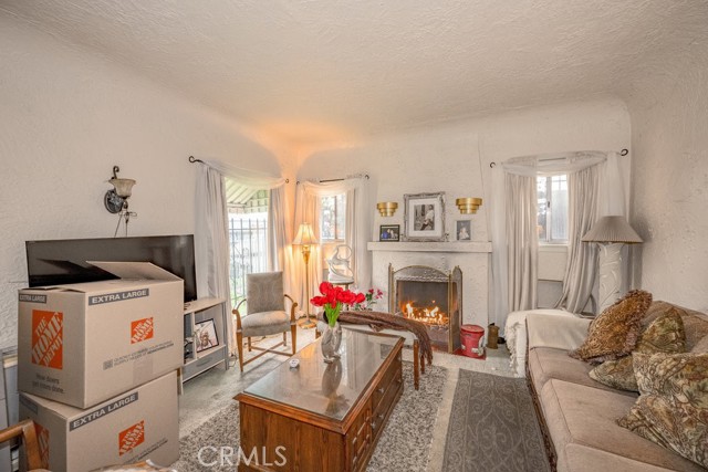 Living room, view of fireplace