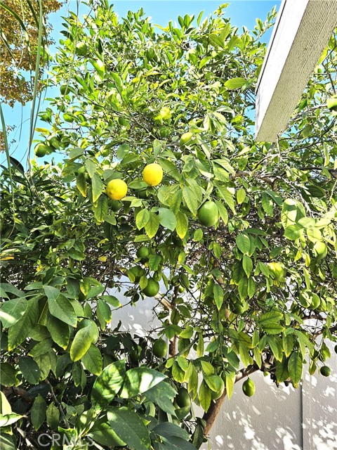 Detail Gallery Image 15 of 33 For 3219 via Carrizo #B,  Laguna Woods,  CA 92637 - 3 Beds | 2 Baths