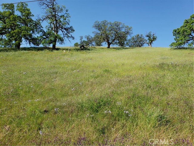 9767 Mirasol Way, La Grange, California 95329, ,Land,For Sale,9767 Mirasol Way,CRMC23065015